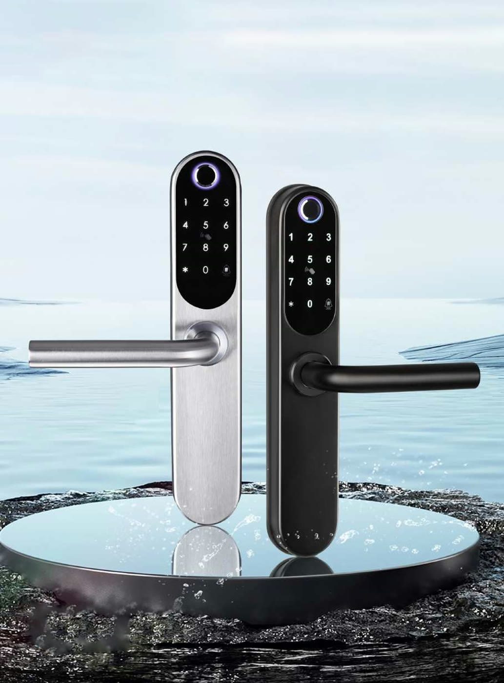 Apartment/Hostel Locks