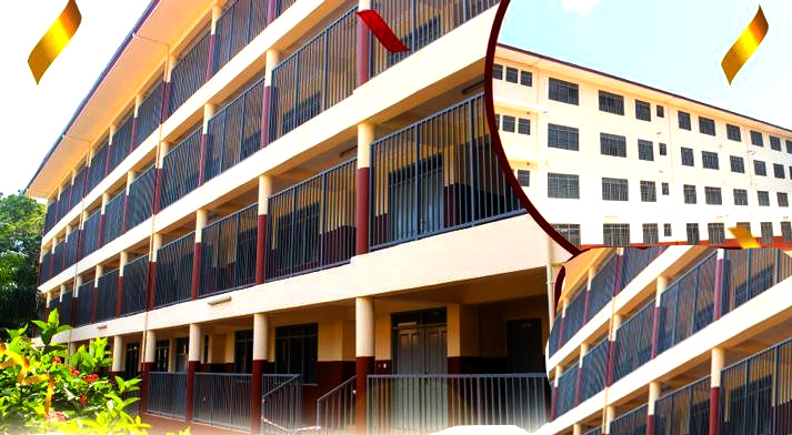 Christ the King School
